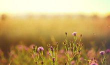 关于天气的个性签名