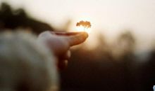 心碎到撕心裂肺的古风句子