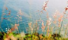 生活哲理短句说说，感悟生活的经典语录