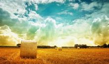 一个人出去闯荡的说说