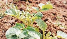 下地干活发朋友圈的说说