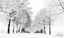 描写冬天的优美句子