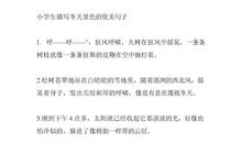 描写魔术的句子