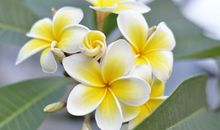 100句简短的关于搞笑幽默的句子