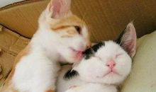 搞笑沙雕短句 沙雕搞笑句子笑死人