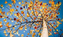 秋游很开心的句子