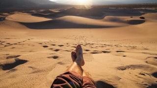 以下座右铭与淡定与淡定有关