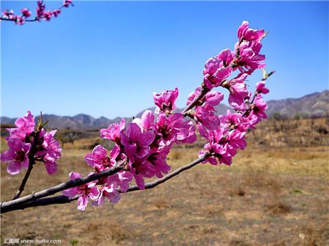 所谓的猪状室友应该是我的感冒