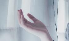 您将一个人视为最好的朋友