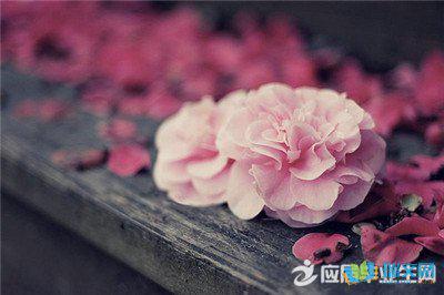 敏感的人总是容易被一些感人的句子所感动