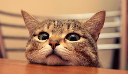 请欣赏编辑编撰的关于人们日常幸福的句子