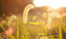 描写笑得十分开心的句子