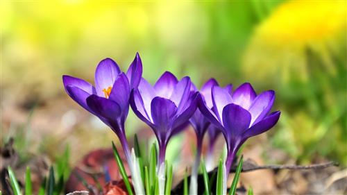 由于阿姨的问题