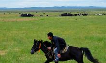 描写草原骑马的句子