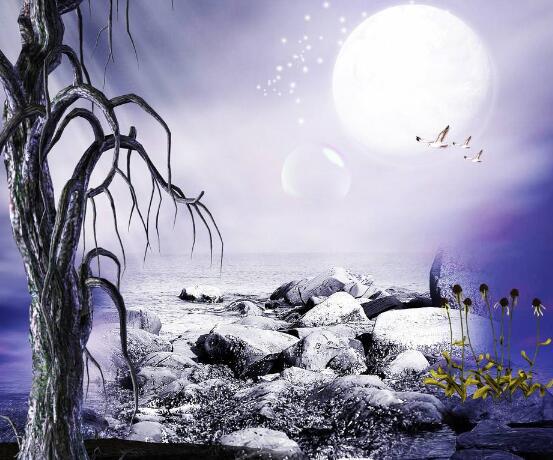   婚礼祝贺的祝福  1