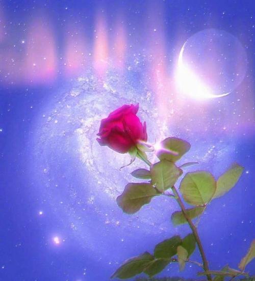 也无法逃脱这个年轻人