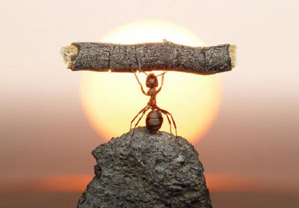 这是人类的自然动力