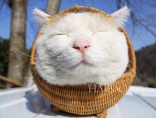 我应该用什么有趣的句子取悦美丽的女人