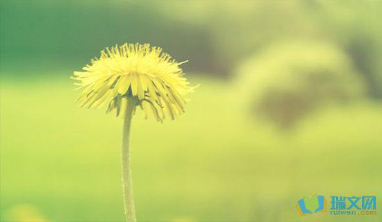 轩Yuan月就像一面明亮的镜子