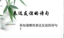 表达友情的诗句大全