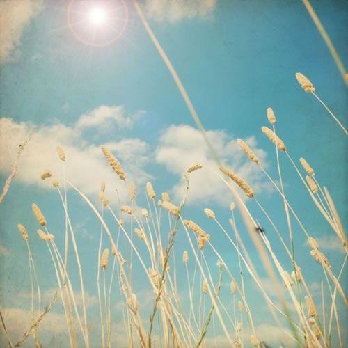 编辑编辑了一些有关珍惜家庭之爱的简短句子