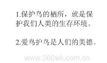 爱护小鸟标语