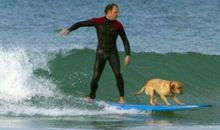 一句话经典语录搞笑：聪明的妖怪录下了唐僧的紧箍咒