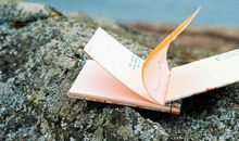 小红书上的经典语录 小红书语录摘抄