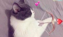 适合说说的俏皮句子