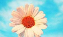 八月早安语录 八月第一天问候语