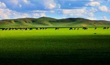 适合发朋友圈心烦的句子