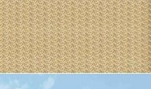 关于运动的英语格言