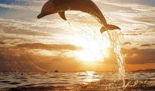 最励志的一句话：为别人着想，为自己而活