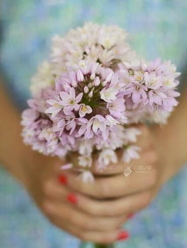 在错误的时间遇见合适的人是青年