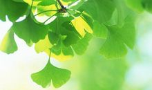 心情很好的说说句子