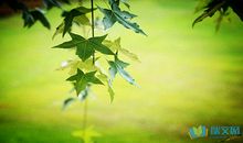 正能量精致女人睡前一句话