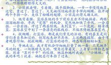 描写人的外貌句子