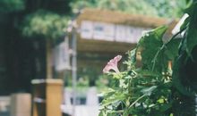 心碎只是一瞬间的句子