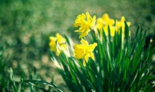 开心健康的句子