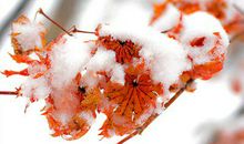 说说家庭心烦的句子