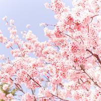 选一个句子祝老师快乐