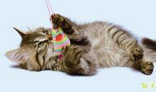 调皮的句子说说 发朋友圈的逗比文字