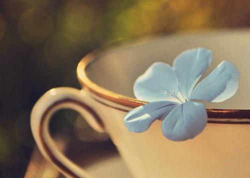 有时候它会成就你