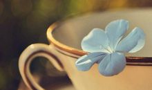 想让自己百毒不侵的朋友圈说说