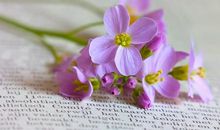 阑尾炎犯了朋友圈说说 阑尾炎疼好难受的说说