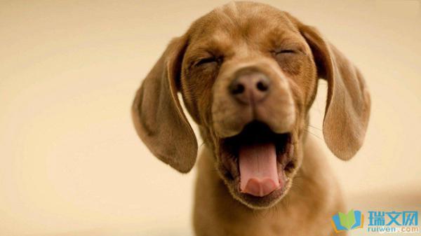 天空是蓝色和绿色