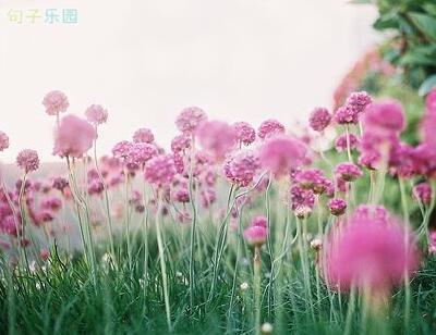 即使您知道它会消失