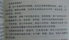 描写下雨的优美段落