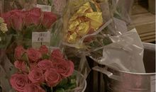 正能量有力量的小句子合集 激励自己的句子