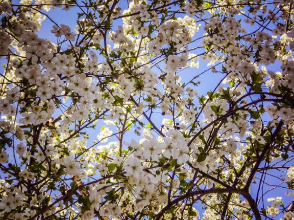 而能帮助您持续一生的只是您的个人能力